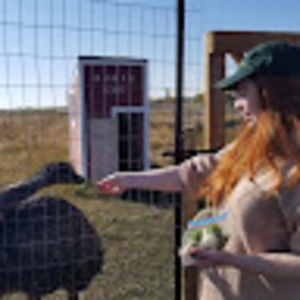 Meet your Posher, Shannon